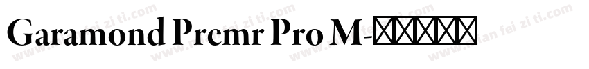 Garamond Premr Pro M字体转换